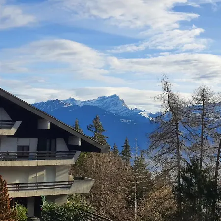 Confortable Studio Indépendant Aux Portes Du Soleil *